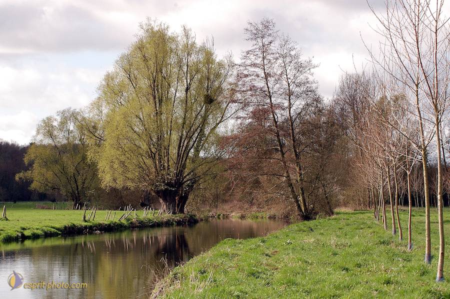 Nom de l'image : D1120230-01_(c)Norbert-JUNG — Description :  PËlerinage de Chartres 2004